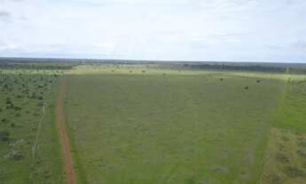 Imagem: Fazendacde arrendamento 1.200 hec plantando