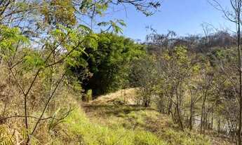 Imagem 6: Excelente terreno rural de 9,5 hectares, com casa, lagoa, pomar produzindo e curral