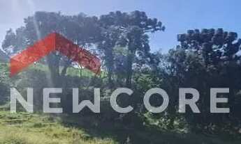 Imagem 4: Chácara em R S 235 Linha Araripe - Araripe - Gramado/RS