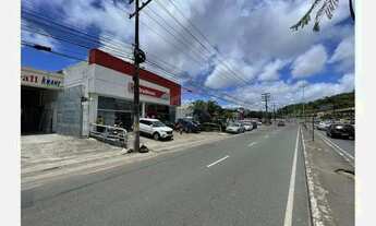 Imagem 4: Imóvel comercial Barros Reis 650m²