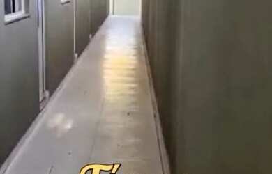 Imagem 3: Apartamentos novos ALUGUEL