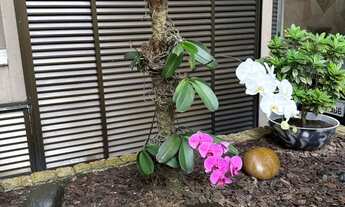 Imagem 4: Apartamento para aluguel tem 84 metros quadrados com 3 quartos