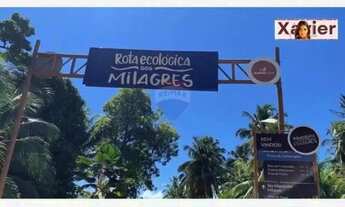 Imagem 3: Terreno em milagres alagoas