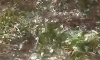 Imagem 2: Vendo Terreno,troco em carro ou moto