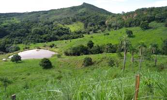 Imagem 6: Fazenda de 32 alqueires em Faina-GO