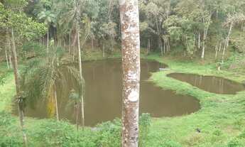 Imagem 3: 1 hectare Paulista 3 lagos mais pocilga 174 mil reais