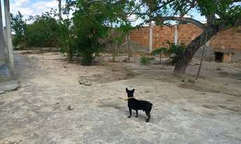 Imagem 6: Chácara em sítios novos