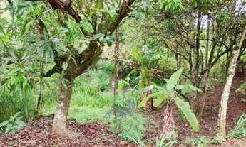 Imagem 3: Vendo 3 lotes. Em azurita ou chacara