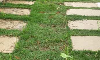 Imagem 4: Casa Ipiau - venda / aceita troca