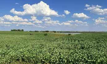 Imagem 6: Excelente oportunidade de Negócio Rural