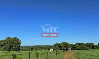 Imagem 5: Fazenda 75 alqueires (363 hectares) Mozarlândia - Go