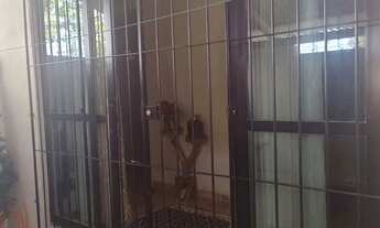 Imagem 3: Casa à venda no Nobre, Paulista