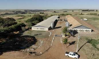 Imagem 3: Granja já pronta