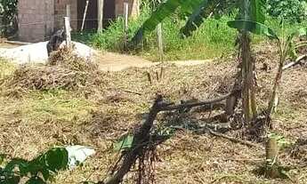 Imagem 6: Vendo esse lindo terreno na AM 070 / 7 minutos do miriti