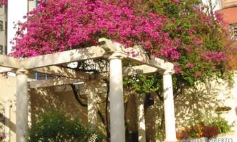 Imagem 2: APARTAMENTO - BARRA FUNDA - SP