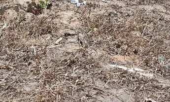 Imagem 4: Casa 20 mil sala,quarto e banheiro