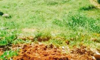 Imagem: Terreno para Venda em Florianópolis, Jurerê