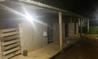 Imagem: Alugo Baias para cavalos