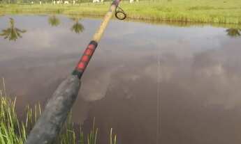 Imagem 4: Fazenda em Boa Vista/RR