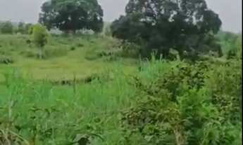 Imagem: Vendo Fazenda em Joaquim Gomes - Alagoas