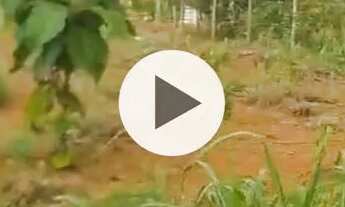 Imagem 2: Lote 360m² no Jardim Tarumã - Energia Elétrica - Bairro em Crescimento!