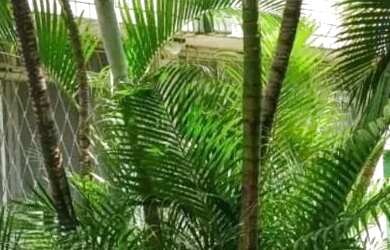 Imagem 3: EDF. BOM CONSELHO