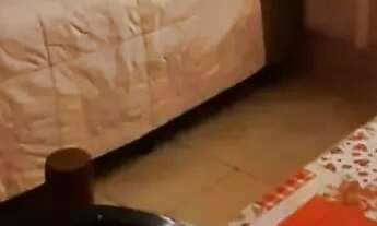 Imagem 4: Apartamento para locação e temporada com 2 quartos, 65m2, R$ 2.5000, Cacuia, RJ