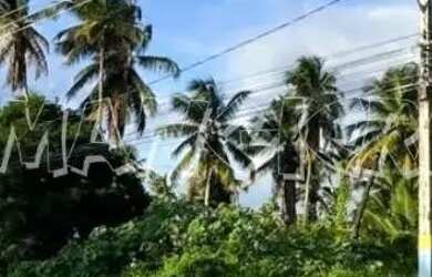 Imagem: Terreno de 6.000m² para alugar na Barra