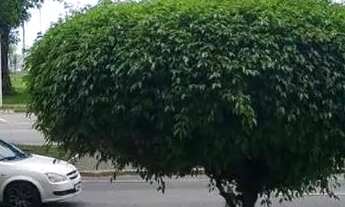 Imagem 5: Apartamento em Avenida Manoel da Nóbrega - Itararé - São Vicente/SP