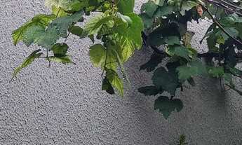 Imagem 7: Casa de Esquina com 03 quartos no Flor do Ipe em Senador Canedo