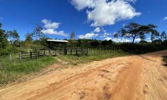 Imagem 4: FAZENDA EM ITANAGRA/BA COM PLANTAÇÃO DE EUCALIPITO E PRESA PERMANENTE