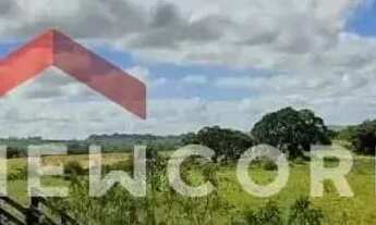 Imagem 5: Sítio em Rua um - Ribeiros - Angatuba/SP