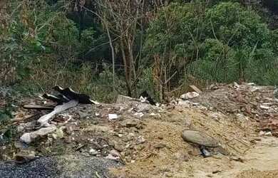 Imagem 3: Lote em Rua Escritor Castro Alves - Belvedere - Ribeirão das Neves/MG