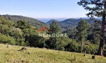 Imagem 6: Chácara em Rs 020 - Recosta - São Francisco de Paula/RS