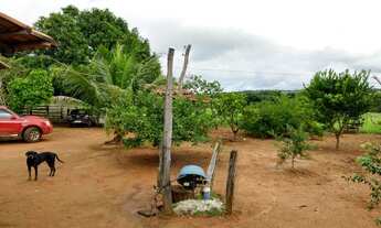 Imagem 4: Vendo Chácara em Mutunópolis GO