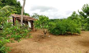 Imagem 7: Vendo Chácara em Mutunópolis GO