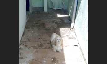 Imagem 7: Aluga-se casa direto com a proprietária