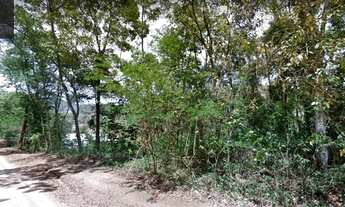 Imagem 6: Terreno plano com 6.724m² no Plante Café em Miguel Pereira/RJ