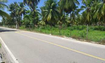 Imagem 6: Lotes na Barra Nova , metragem 8x22