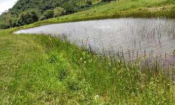 Imagem 7: Fazenda de 27 hectares com topografia excelente 100% em pasto