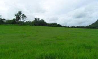 Imagem 7: Chácara 20.000m² com córregos nos fundos Serra do Cipó(Temos varias opções)