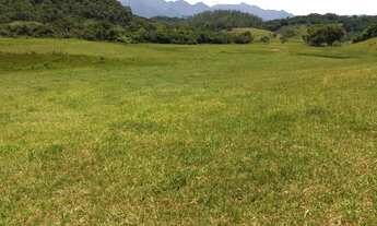 Imagem 5: Fazenda de 27 hectares com topografia excelente 100% em pasto
