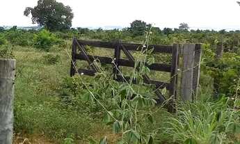 Imagem 2: Arrendamento Pastagens p Pecuaria/ Alcinópolis-MS