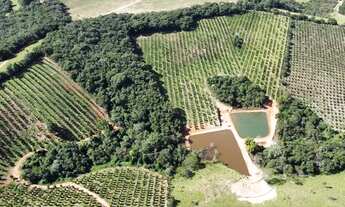 Imagem 5: Terreno de 14 hectares com muita água e duas lindas lagoas!!