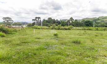 Imagem 4: Lote/Terreno para venda em Riozinho - Irati - PR