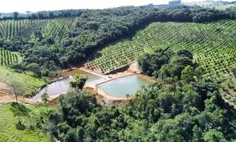 Imagem 3: Terreno de 14 hectares com muita água e duas lindas lagoas!!