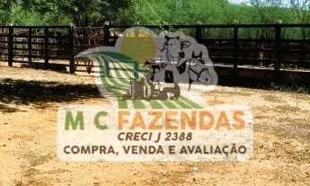 Imagem: Fazenda à Venda em Canudos - BA
