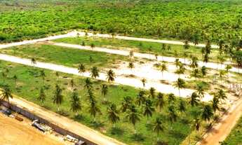 Imagem 2: RECANTO DOS PÁSSAROS LOTEAMENTO NO TRAIRI, CEARÁ