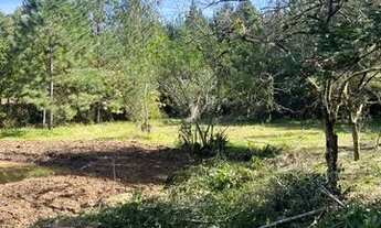 Imagem 2: Sítio Com Açude Em Condomínio Fechado. ROB:417