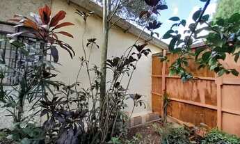 Imagem 3: Casa de alvenaria em São Leopoldo, 2 quartos